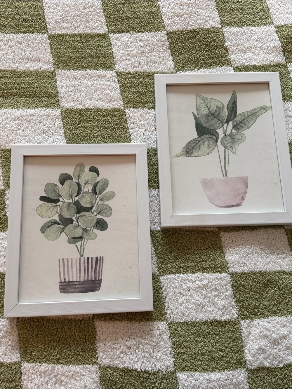 White Framed Botanical Wall Art - Green Plant Prints